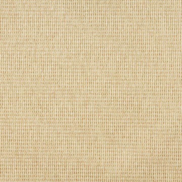 5176 Parfait by Charlotte Fabric Ring Book Page #38 100% Woven Polyester Asia Exceeds 240,000 Wyzenbeek Rubs (Heavy Duty) </p><p>Repeat: No Repeat 54 Inches - Fabric Carolina -
