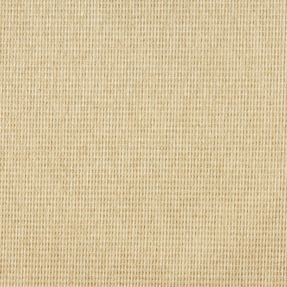 5176 Parfait by Charlotte Fabric Ring Book Page #38 100% Woven Polyester Asia Exceeds 110,000 Wyzenbeek Rubs (Heavy Duty) No Repeat 54 Inches - Fabric Carolina -