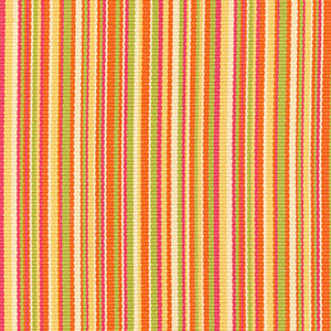 Capri Stripe Tangerine/Kiwi 51770 by Schumacher Fabric