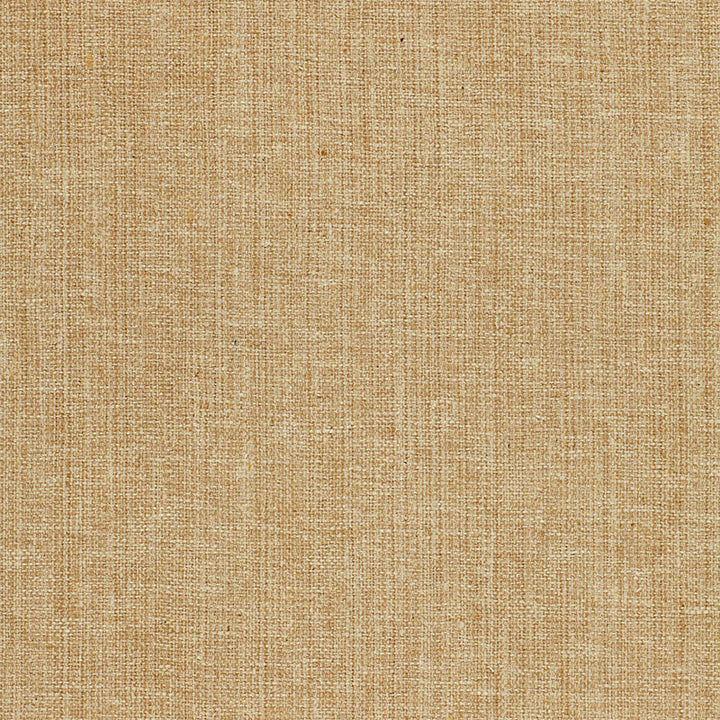 Adi Silk Matka Ivory 51800 by Schumacher Fabric AU NATUREL See Sample INDIA LIGHT DUTY </p><p>Repeat: Horizontal: - and Vertical: - 50" WIDE (127CM) - Fabric Carolina -