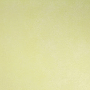 5188 72W6321 by JF Wallcovering