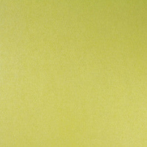 5190 74W6321 by JF Wallcovering