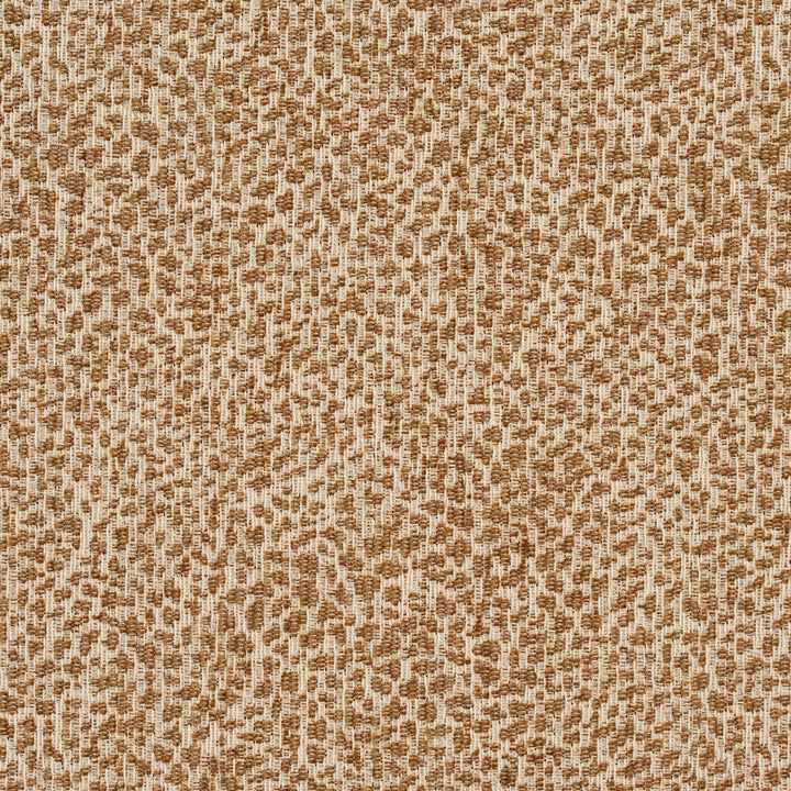 5191 Leopard/Natural by Charlotte Fabric Ring Book Page #34 70% Acrylic, 30% Cotton Canada Exceeds 130,000 Wyzenbeek Rubs (Heavy Duty) No Repeat 54 Inches - Fabric Carolina -