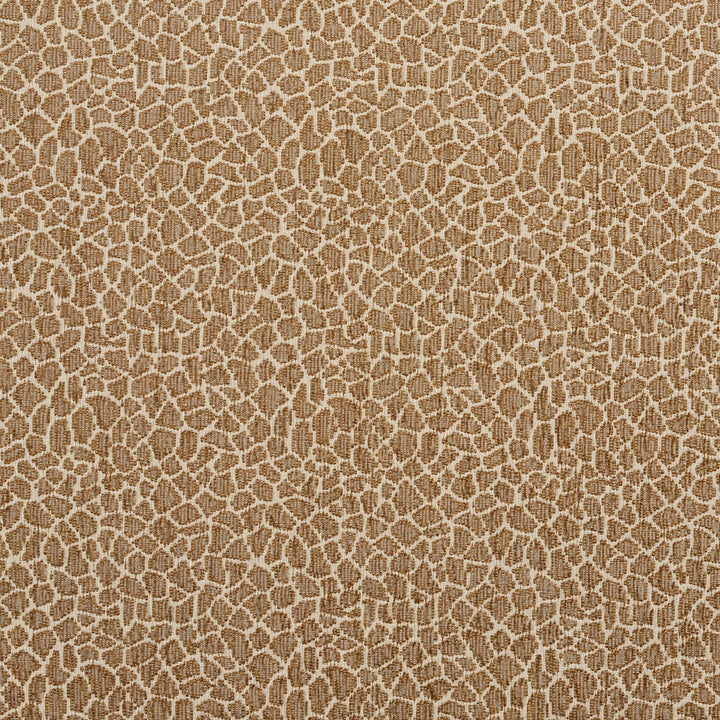 5192 Giraffe/Natural by Charlotte Fabric Ring Book Page #34 70% Acrylic, 30% Cotton Canada Exceeds 130,000 Wyzenbeek Rubs (Heavy Duty) Horizontal: 7" x Vertical: 7" 54 Inches - Fabric Carolina -