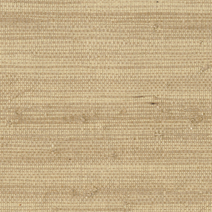 52029 34W8521 by JF Wallcovering SINGAPORE WALLCOVERINGS 100% Wallpaper China Horizontal: and Vertical: 35.8 - Fabric Carolina -