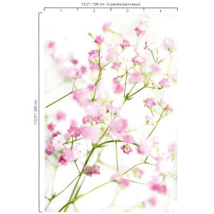5202 73W6321 by JF Wallcovering Mural