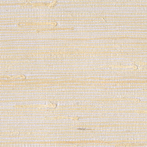 52043 11W8521 By JF Wallcovering