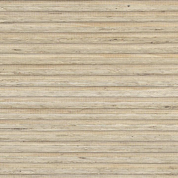 52050 31W8521 by JF Wallcovering SINGAPORE WALLCOVERINGS 100% Wallpaper China Horizontal: and Vertical: N 35.8 - Fabric Carolina -