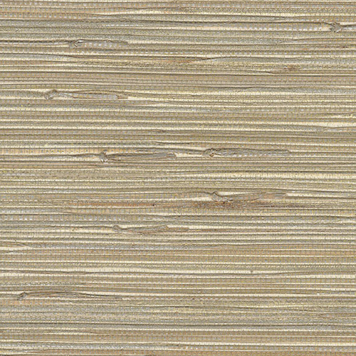 52062 73W8521 by JF Wallcovering SINGAPORE WALLCOVERINGS 100% Wallpaper China Horizontal: and Vertical: 35.8 inches, 6 yards per roll. - Fabric Carolina -