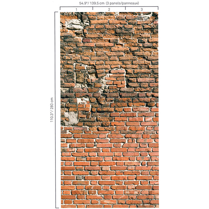 5211 28W6321 by JF Wallcovering URBAN ART WALL MURALS 100% Wallpaper Germany Horizontal: and Vertical: 54.9 inches, 15 yards per roll. - Fabric Carolina -
