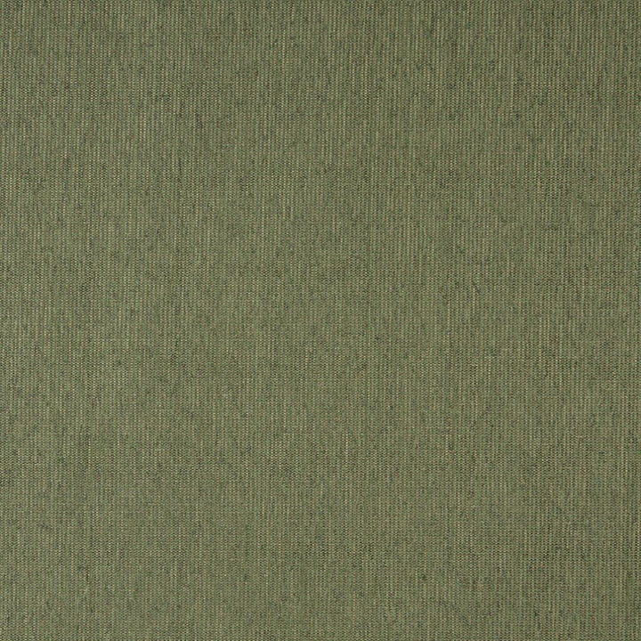 5218 Willow by Charlotte Fabric Decorative Durables IX 78% Olefin,22% Polyester Made In USA Exceeds 100,000 Wyzenbeek Rubs (Heavy Duty) No Repeat 54 Inches - Fabric Carolina -