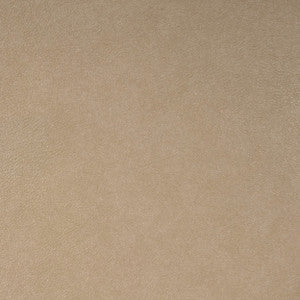 5223 22W6561 by JF Wallcovering