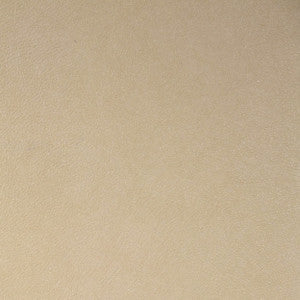 5231 22W6561 by JF Wallcovering