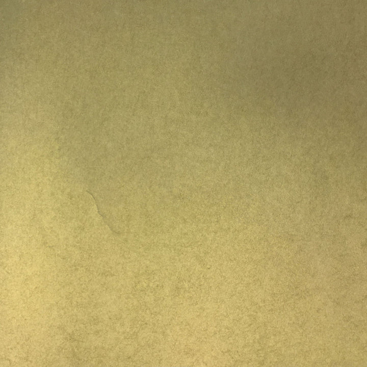 5259 17W7631 by JF Wallcovering ANTIQUITY WALLCOVERINGS 100% Wallpaper Italy Horizontal: and Vertical: N 27.6 - Fabric Carolina -