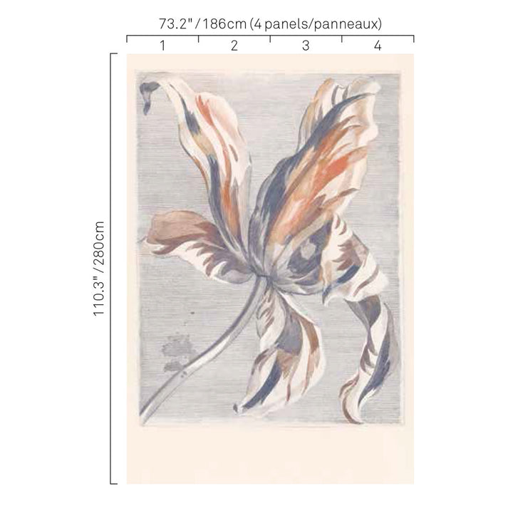 5263 65W7631 by JF Wallcovering Mural ANTIQUITY WALLCOVERINGS 100% Wallpaper Germany Horizontal: and Vertical: 73.2 inches, 12 yards per roll. - Fabric Carolina -