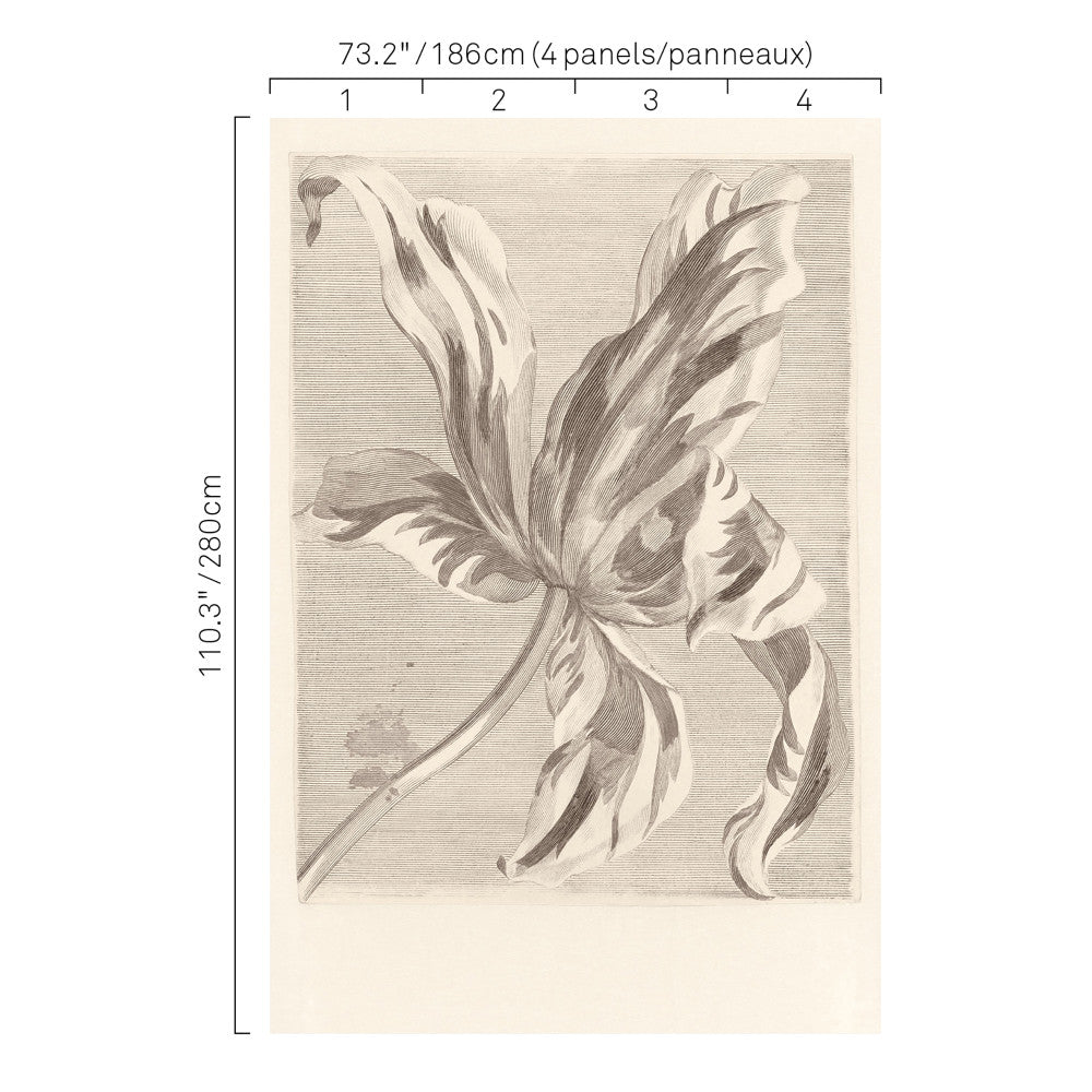5263 94W7631 by JF Wallcovering ANTIQUITY WALLCOVERINGS 100% Wallpaper Germany Horizontal: and Vertical: N 73.2 - Fabric Carolina -