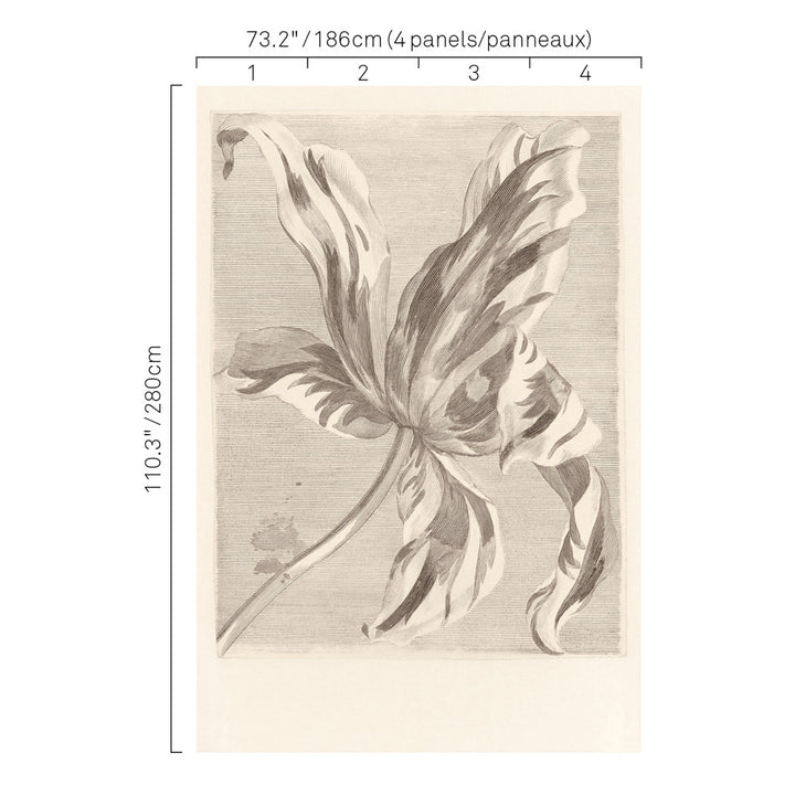 5263 94W7631 by JF Wallcovering ANTIQUITY WALLCOVERINGS 100% Wallpaper Germany Horizontal: and Vertical: N 73.2 - Fabric Carolina -
