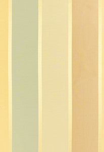 Olivia Silk Stripe Aqua 52700 by Schumacher Fabric
