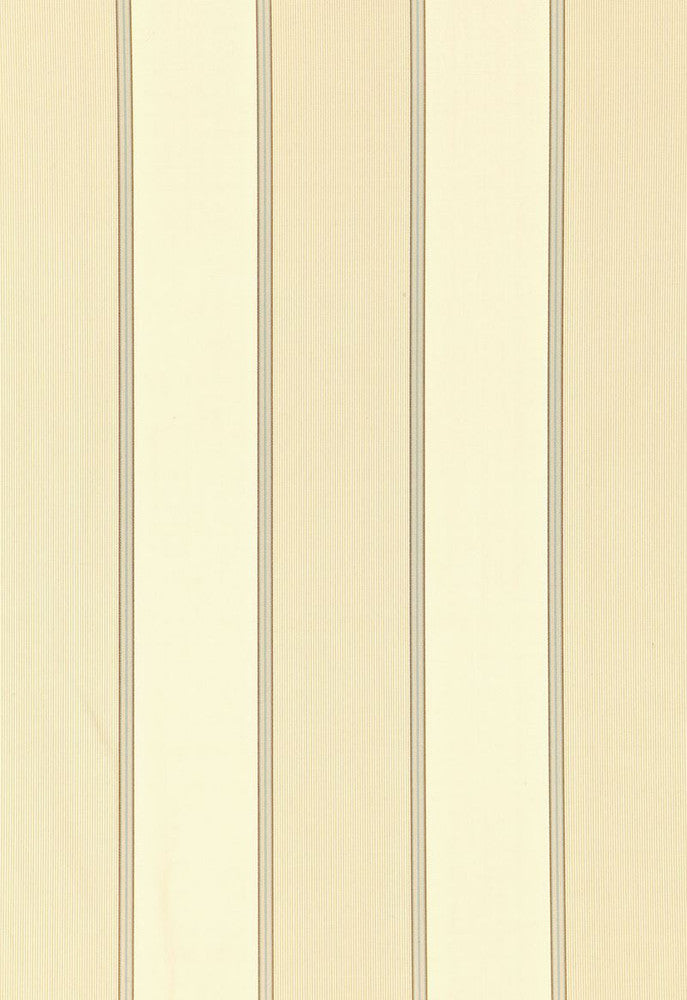 Sophia Silk Stripe Champagne 52712 by Schumacher Designer Fabric COLLECTION-NAME-TBA-52710 100% Silk - Horizontal: 6 and Vertical: - 54.25 - Swanky Fabrics -