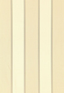 Sophia Silk Stripe Champagne 52712 by Schumacher Fabric