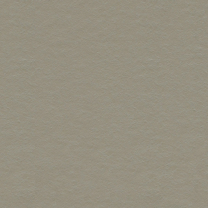 5287 96W7971 by JF Wallcovering WONDERLAND WALLCOVERINGS 100% Wallpaper United Kingdom Horizontal: and Vertical: N 20.5 - Fabric Carolina -