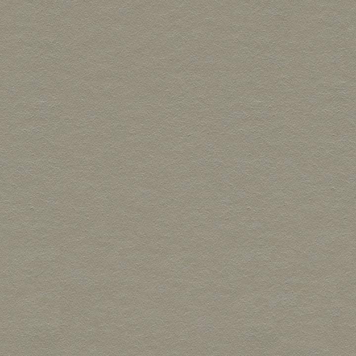 5287 96W7971 by JF Wallcovering WONDERLAND WALLCOVERINGS 100% Wallpaper United Kingdom Horizontal: and Vertical: 20.5 inches, 11 yards per roll. - Fabric Carolina -