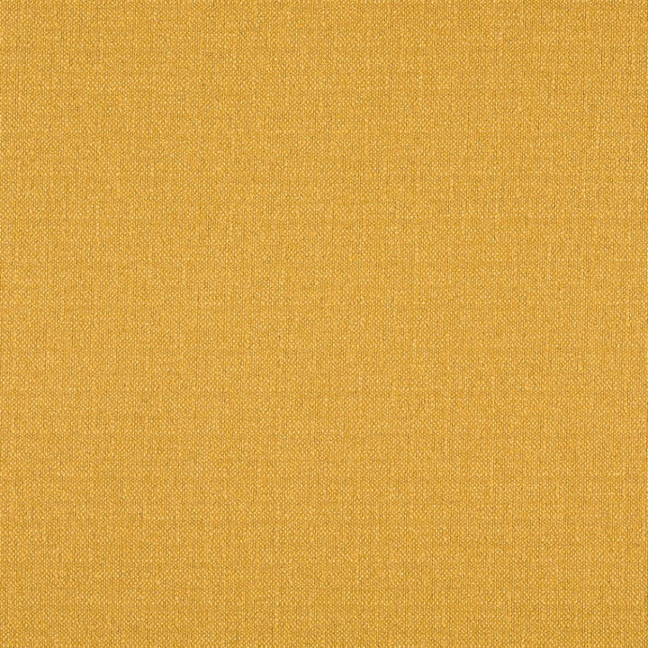 5291 Gold by Charlotte Fabric Ring Book Page #34A 76% Olefin, 24% Polyester Made In USA Exceeds 70,000 Wyzenbeek Rubs (Heavy Duty) No Repeat 54 Inches - Fabric Carolina -