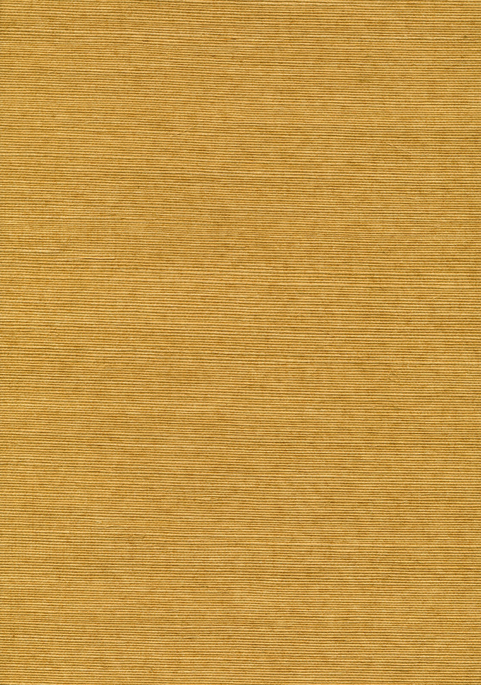 Chika Beige Sisal Grasscloth Wallpaper by Kenneth James Jiangsu Grasscloth Covers about 72 square feet 36-in by 24-ft long roll Unpasted 0 - Fabric Carolina -
