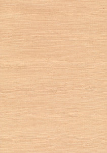 Goro Cream Grasscloth Wallpaper by Kenneth James