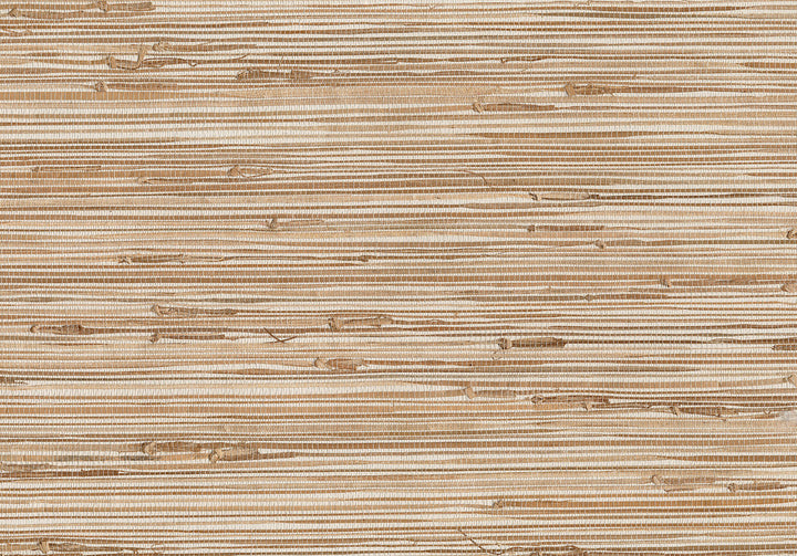 Kaziko Khaki Grasscloth Wallpaper by Kenneth James Jiangsu Grasscloth Covers about 72 square feet 36-in by 24-ft long roll Unpasted 0 - Fabric Carolina -