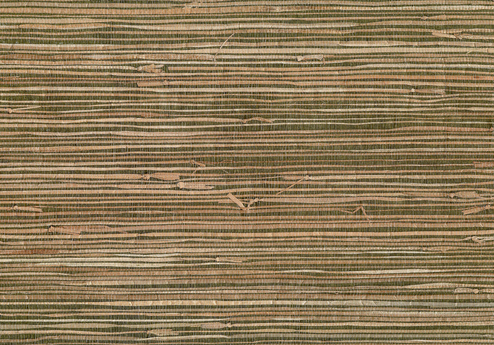 Mai Khaki Grasscloth Wallpaper by Kenneth James Jiangsu Grasscloth Covers about 72 square feet 36-in by 24-ft long roll Unpasted 0 - Fabric Carolina -