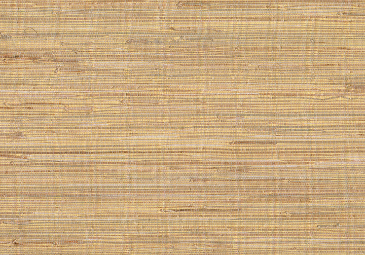 Mayu Taupe Grasscloth Wallpaper by Kenneth James Jiangsu Grasscloth Covers about 72 square feet 36-in by 24-ft long roll Unpasted 0 - Fabric Carolina -