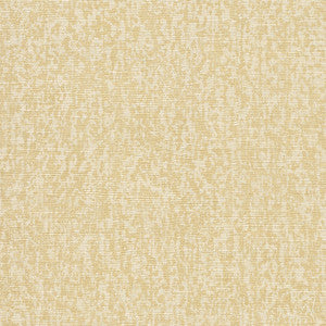 5301 12W8251 By JF Wallcovering