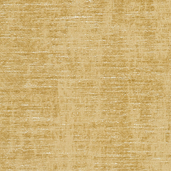 5303 Gold by Charlotte Fabric Ring Book Page #6A 87% Polyester, 13% Rayon Asia Exceeds 60,000 Wyzenbeek Rubs (Heavy Duty) No Repeat 54 Inches - Fabric Carolina -