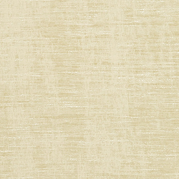 5307 Ecru by Charlotte Fabric Ring Book Page #6A 87% Polyester, 13% Rayon Asia Exceeds 60,000 Wyzenbeek Rubs (Heavy Duty) No Repeat 54 Inches - Fabric Carolina -