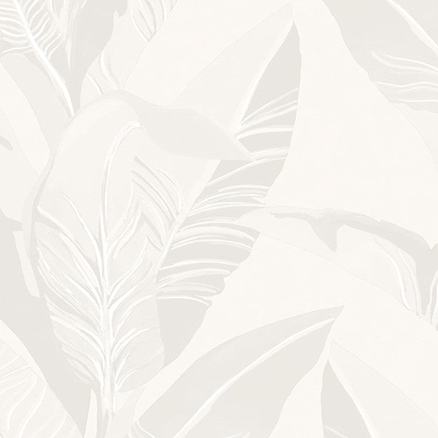 5352 91W8411 by JF Wallpaper BUNGALOW WALLCOVERINGS 100% Wallpaper UNITED KINGDOM (see sample) Horizontal: N/A and Vertical: 20.900 20.50 - Fabric Carolina -