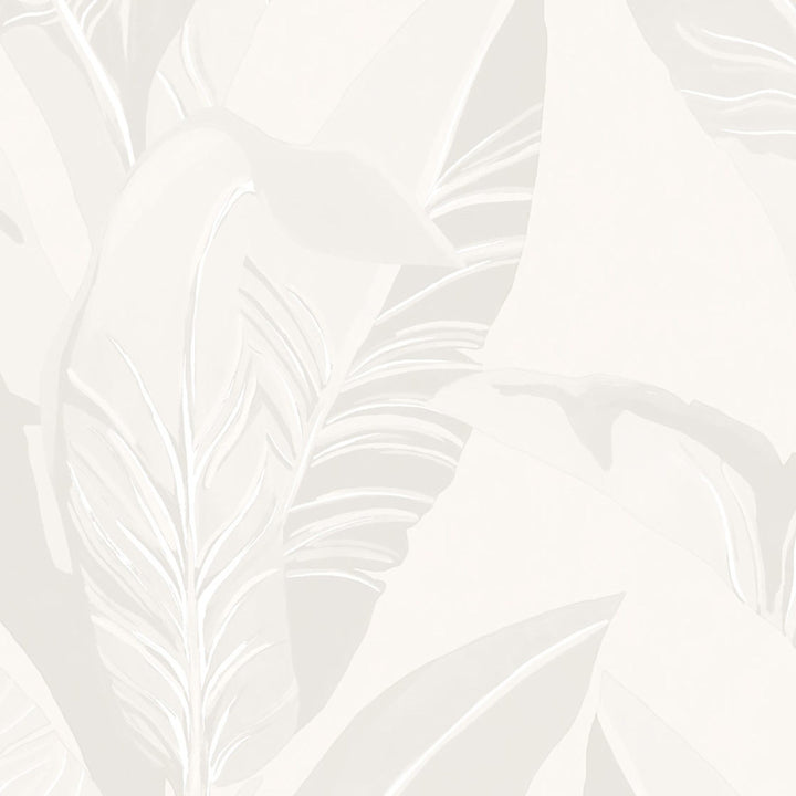 5352 91W8411 by JF Wallcovering BUNGALOW WALLCOVERINGS 100% Wallpaper United Kingdom Horizontal: 20.9 and Vertical: N 20.5 - Fabric Carolina -