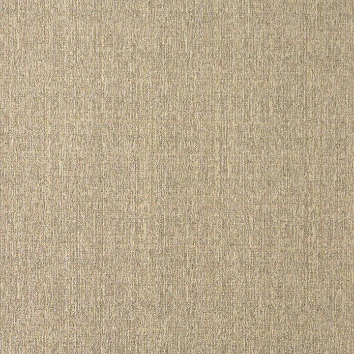 5371 Birch by Charlotte Fabric Ring Book Page #32 55% Polyester; 45% Cotton Asia Exceeds 90,000 Wyzenbeek Rubs (Heavy Duty) No Repeat 54 Inches - Fabric Carolina -