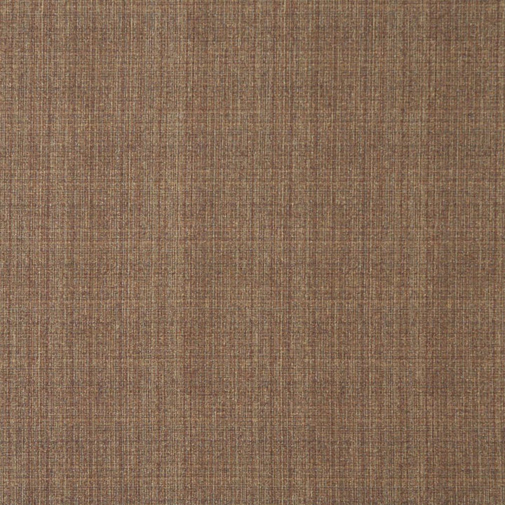 5373 Sable by Charlotte Fabric Ring Book Page #32 55% Polyester; 45% Cotton Asia Exceeds 90,000 Wyzenbeek Rubs (Heavy Duty) No Repeat 54 Inches - Fabric Carolina -