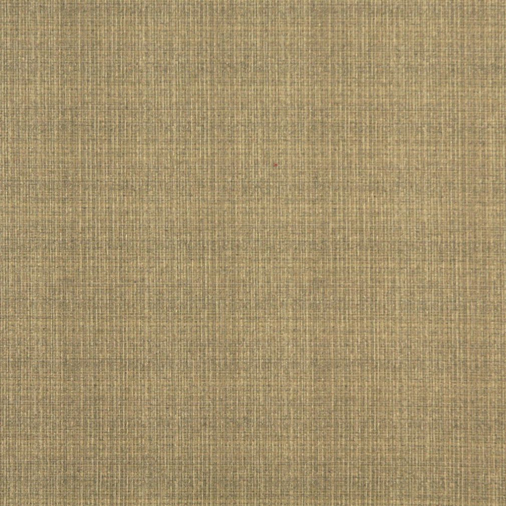 5376 Wheat by Charlotte Fabric Ring Book Page #32 55% Polyester; 45% Cotton Asia Exceeds 90,000 Wyzenbeek Rubs (Heavy Duty) No Repeat 54 Inches - Fabric Carolina -