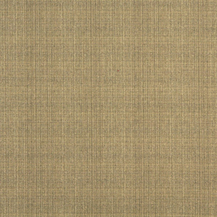 5376 Wheat by Charlotte Fabric Ring Book Page #32 55% Polyester; 45% Cotton Asia Exceeds 90,000 Wyzenbeek Rubs (Heavy Duty) No Repeat 54 Inches - Fabric Carolina -