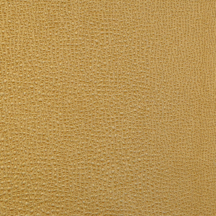 Diva Coin 126 by P Kaufmann Fabrics Fabric