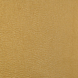 Diva Coin 126 by P Kaufmann Fabrics Fabric