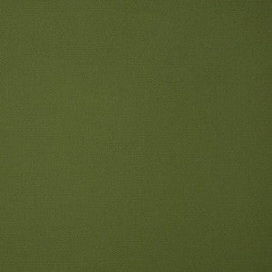 5421 77 Palm Rain by Sunbrella Fabric Rain