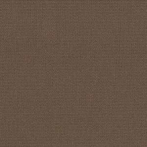 5425 77 Cocoa by Sunbrella Fabric Rain