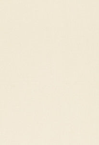 Toscana Mate 54375 by Schumacher Fabric