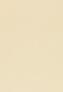 Toscana Mint 54377 by Schumacher Fabric