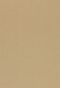 Toscana New Sage 54378 by Schumacher Fabric