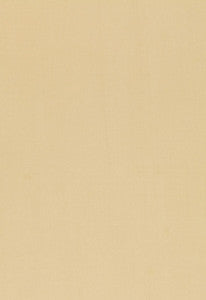 Toscana Titanium 54379 by Schumacher Fabric