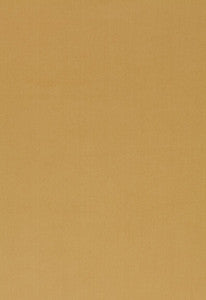 Luana Chamois 54380 by Schumacher Fabric